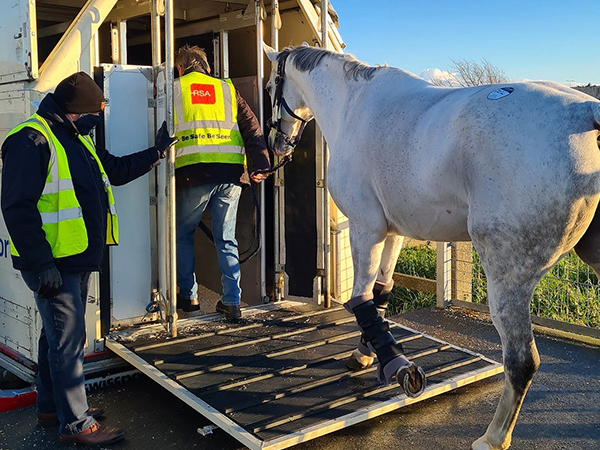 Horseboxes