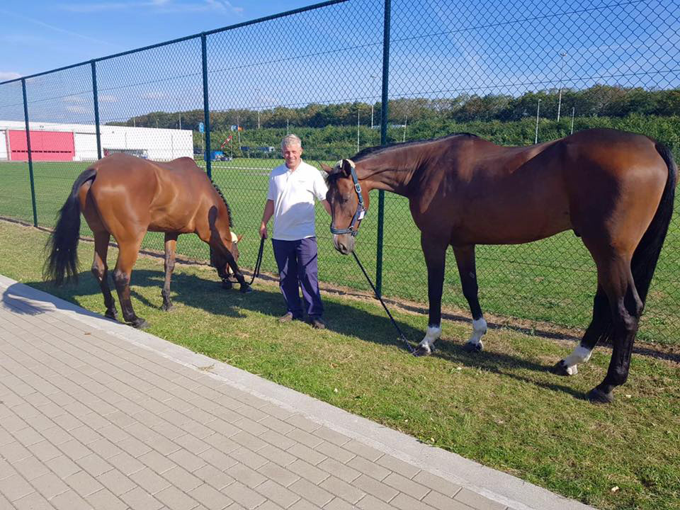 Paddock Facilities